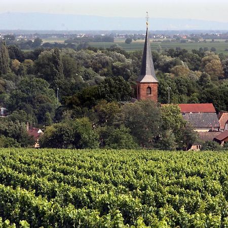 Weinstube Schwarzamsel Apartment Speyer Luaran gambar