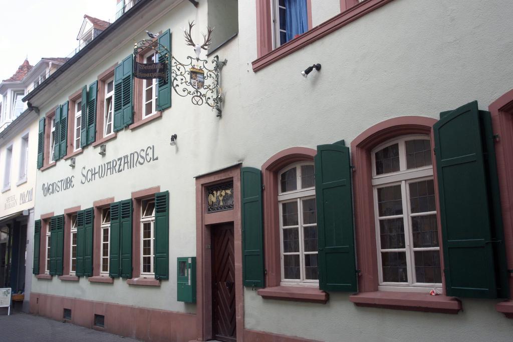 Weinstube Schwarzamsel Apartment Speyer Luaran gambar