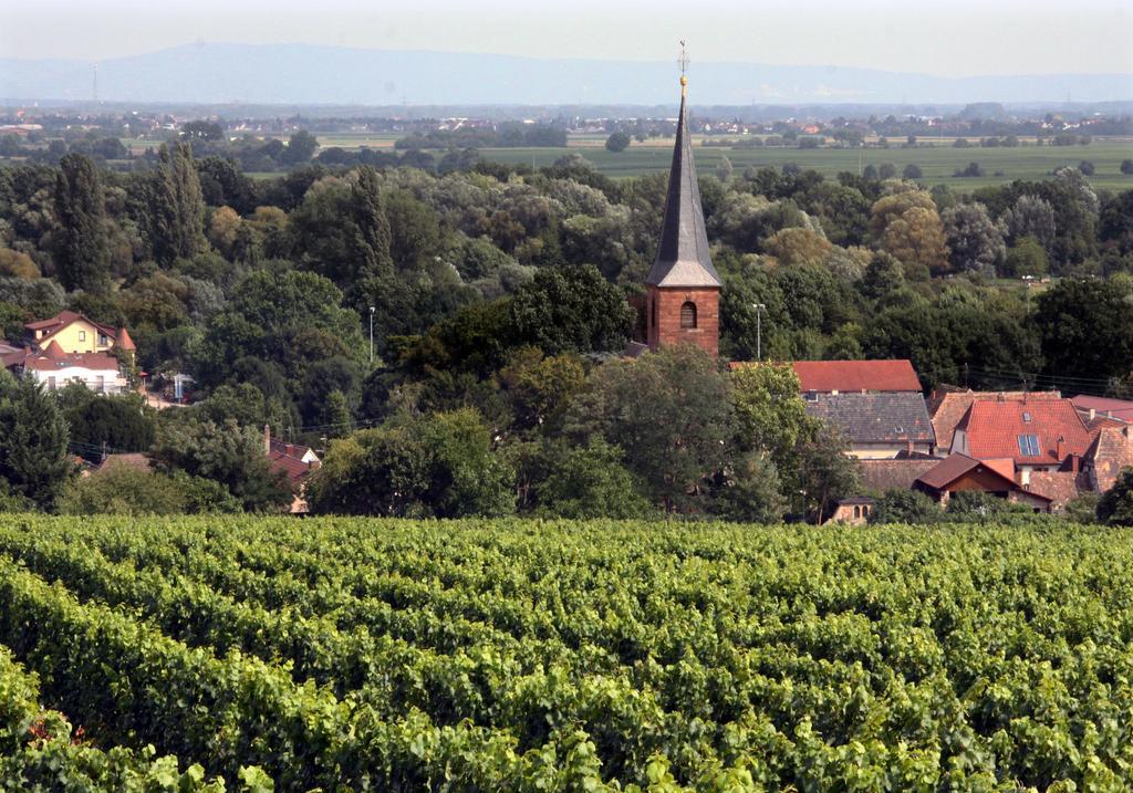 Weinstube Schwarzamsel Apartment Speyer Luaran gambar