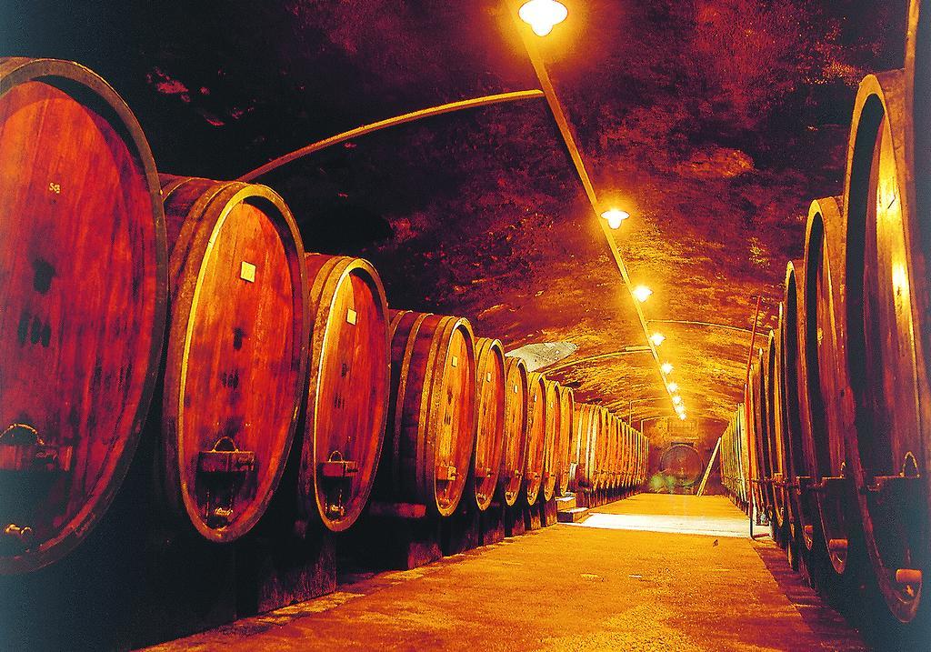 Weinstube Schwarzamsel Apartment Speyer Luaran gambar
